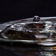Illustration for article titled Shooting Challenge: Water Drop Gallery Part 2